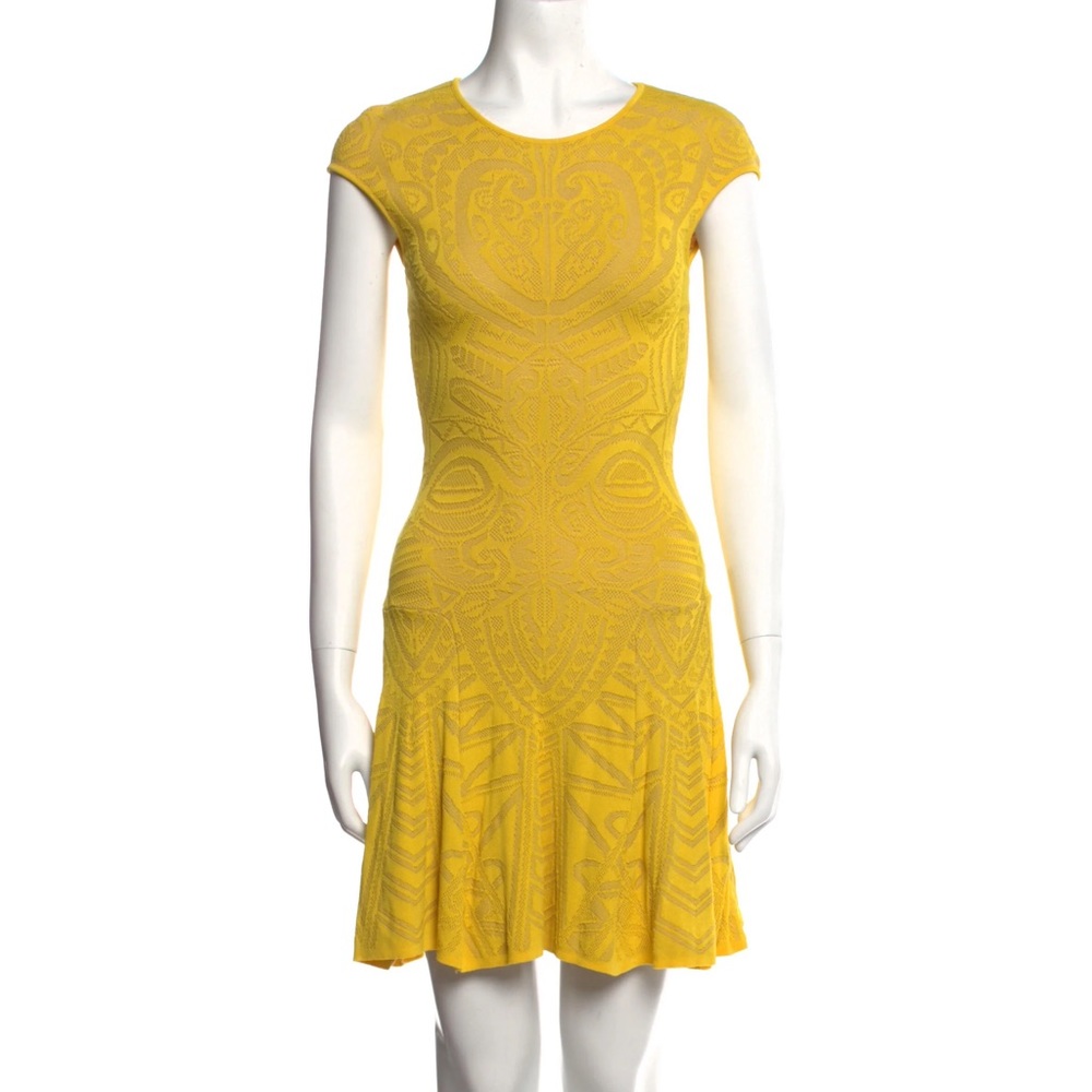 RVN Fit Flaire Dress